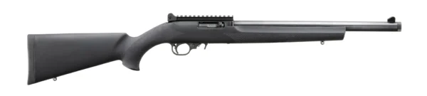 RUGER 10/22 CARBINE 22LR BL/HOGUE